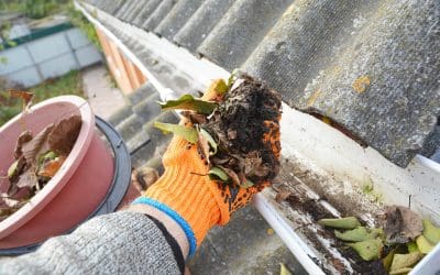 How to Clean Your Gutters in Fall: A Step-by-Step Guide